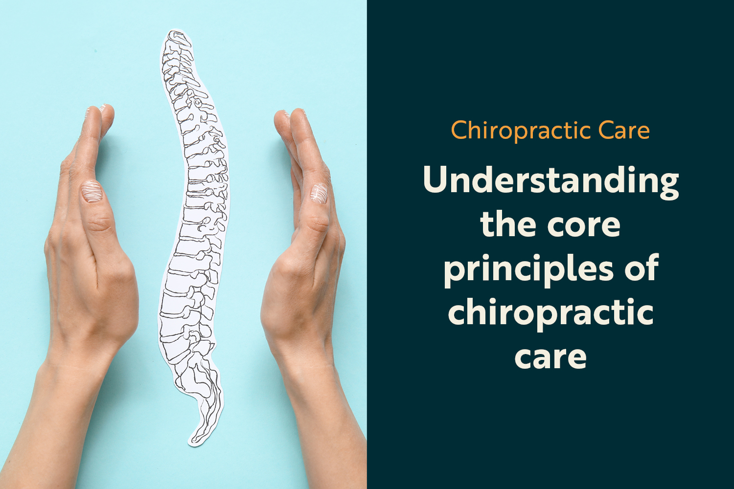 The Foundational Philosophy Behind Chiropractic Care