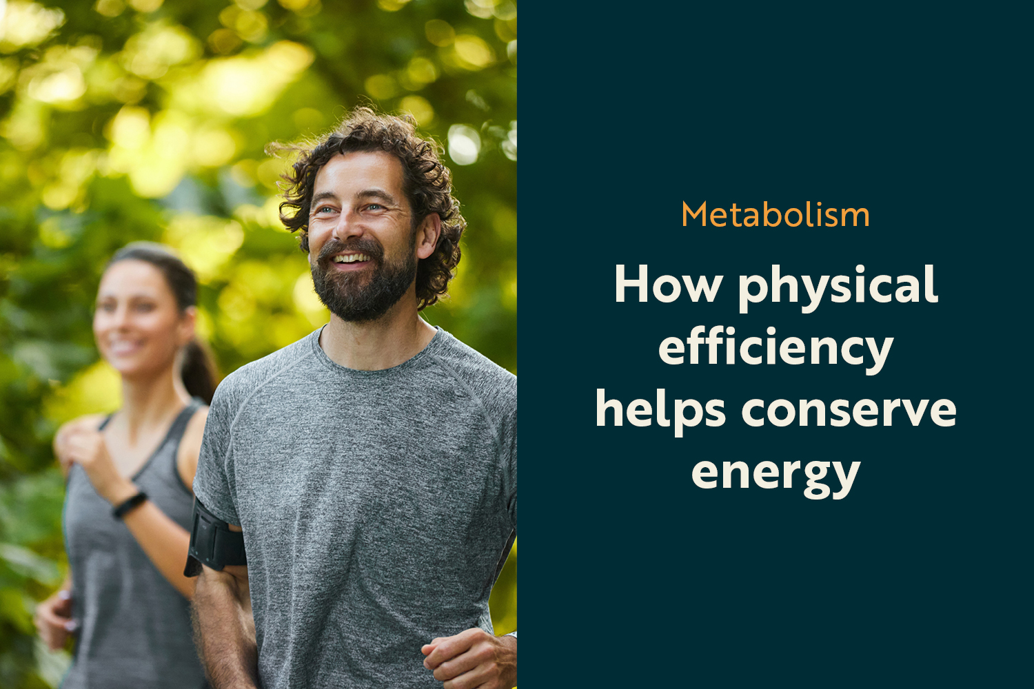 Metabolic Calm: How Physical Efficiency Plugs the Energy Leak