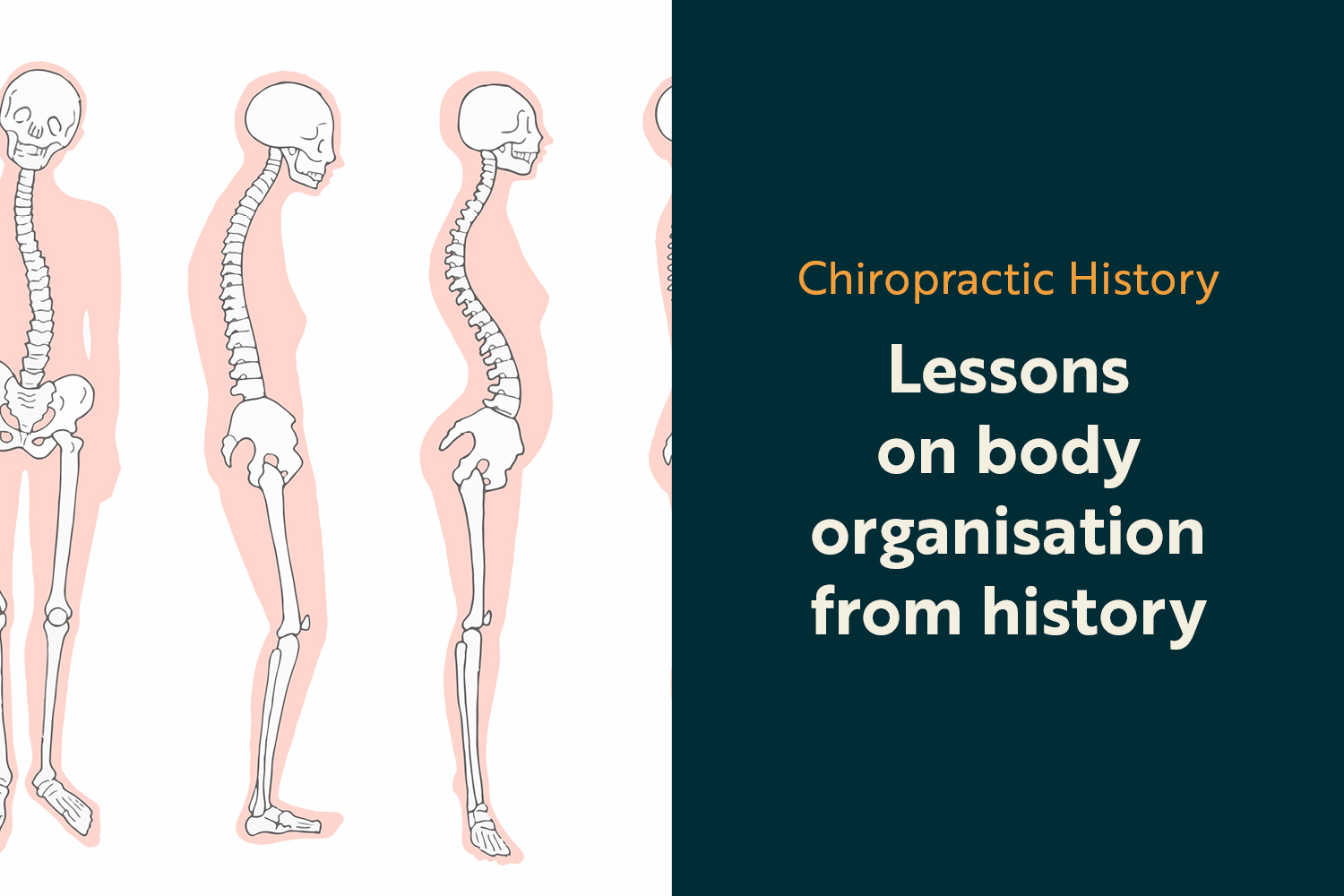 Precision, Pattern, and Posture: What Early Chiropractic Texts Teach About Body Organisation