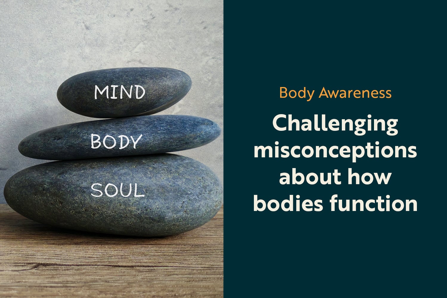 The Assumptions We Carry: Why Your Body Often Works Differently Than You Think